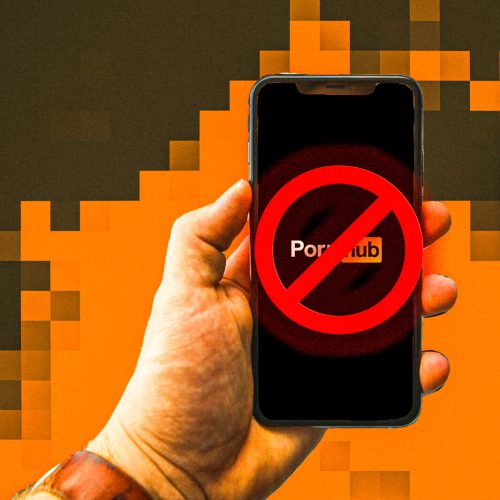 蜂鸟中国VPN
